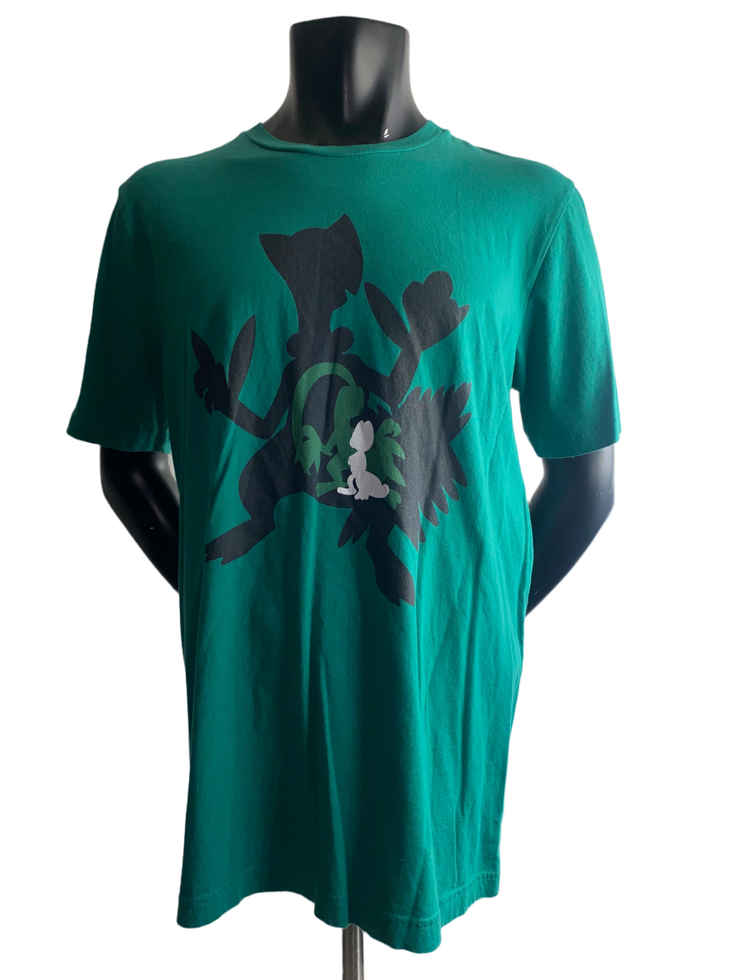 Pokemon Treecko Evolutions T-Shirt